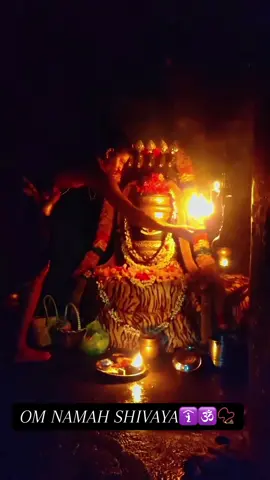 #thennadudaiya_shivane_potri #om #omnamahshivaya #anbesivam #shivanirukabayamen #ellampugalumiraivanukke #blessed #thankyou #mahdev🕉️🙏❤️ #lordshivanblessing🕉🔱📿🌹 #harharmahadev🙏🙏mahakaal #goodday #postivevibes #goodvibesonly 