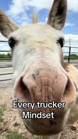 My home is my happy place my favorite place to drive and I never want to leave #texas #country #trucker #trucking 