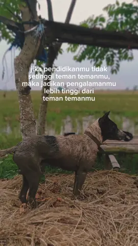 🙏🤝 salam satu hobi  #pendidikan #pengalaman  #bocahpetualang #fyp #fyppppppppppppppppppppppp 