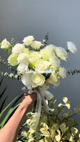 Sen trắng + hồng trắng + cát tường + lá dola quá xinh cho sự kết hợp này #hoacuoigiare #hoasencuoi #hoacuoicantho #hoacamtaycodau #hoacuoidethuong #