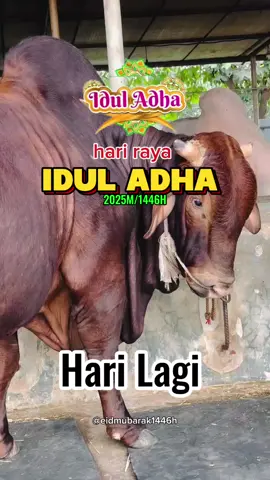 3 hari hari lagi menuju idul adha 2025 #hitungmunduriduladha2025 #menujuiduladha2025 #iduladha1446h #iduladha2025 #xbcyza #fyp #fypage 