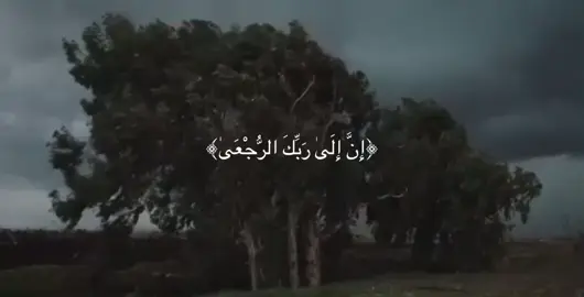 أَلَمْ يَعْلَمْ بِأَنَّ اللَّهَ يَرَىٰ🥹#سورة_العلق #محمد_صديق_المنشاوي #المنشاوي #ان_الي_ربك_الرجعي #ارح_سمعك_بالقران 