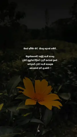 නැති දාක කොහෙන් හරි ලැබේවි !  #quotes #viral #trending #capcut #fyp #fyyyyyyyyyyyyyyyy 