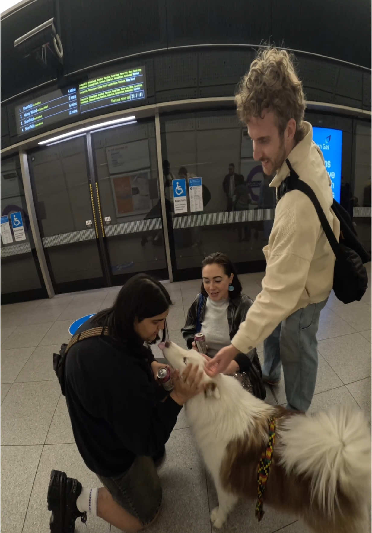 Interactions with my dog!!  #doglover #pets #fyp #dogsoftiktok #viola #pets #fypp #foryoupage 