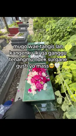 sekangen iku mbek mas pdhl ketemune mung ng ngimpi🥺🫶🏻#fyp #makamkakaklaki #xyzbca 