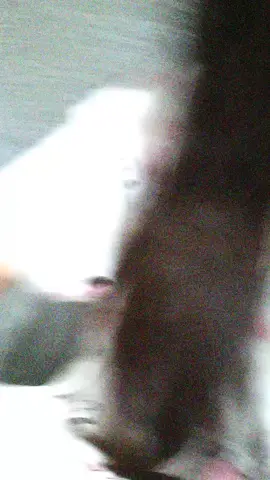 😝😝