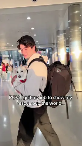 Mine and Elko’s story.  Follow our journey to make Elko the worlds most traveled dog.  #dogtravel #rescuedog #travel #fyp #dogfriendly #dog #travel 