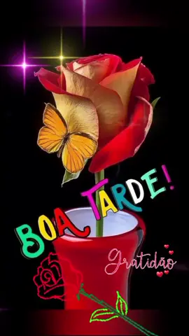 Boa tarde #fyp #vaiprafy #motivacional #boatarde #foryoupage❤️❤️ #viral