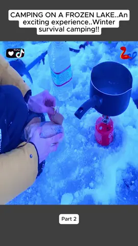 #tralvel #truck #alaska #vanlife #camping #asmr #survived #wintercamping