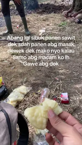 Kami sebagai petani harus kerja #petanisawit 