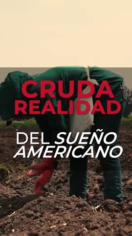 La cruda realidad de Estados Unidos Muchos llegan creyendo que aquí todo será fácil… pero la verdad es que Estados Unidos no regala nada. Aquí aprendes que si no te mueves, te hundes. Que los billetes llegan, sí, pero con esfuerzo, soledad y sacrificios que nadie publica. No es el país de los sueños... es el país de los que no se rinden. La verdadera libertad no está solo en tener papeles o dinero. Está en tener mentalidad, disciplina y visión para construir tu vida sin excusas, estés donde estés. Y si ya estás aquí… haz que cada día cuente. ✨ Este país no cambia tu vida. Tú la cambias, con lo que haces aquí. #LuisFallas #LuisFallasConferencistaInspiracional #CentrodeSuperacionPersonal #Supérate #RealidadUSA #SueñoAmericano #HistoriasDeEsfuerzo #MentalidadInmigrante