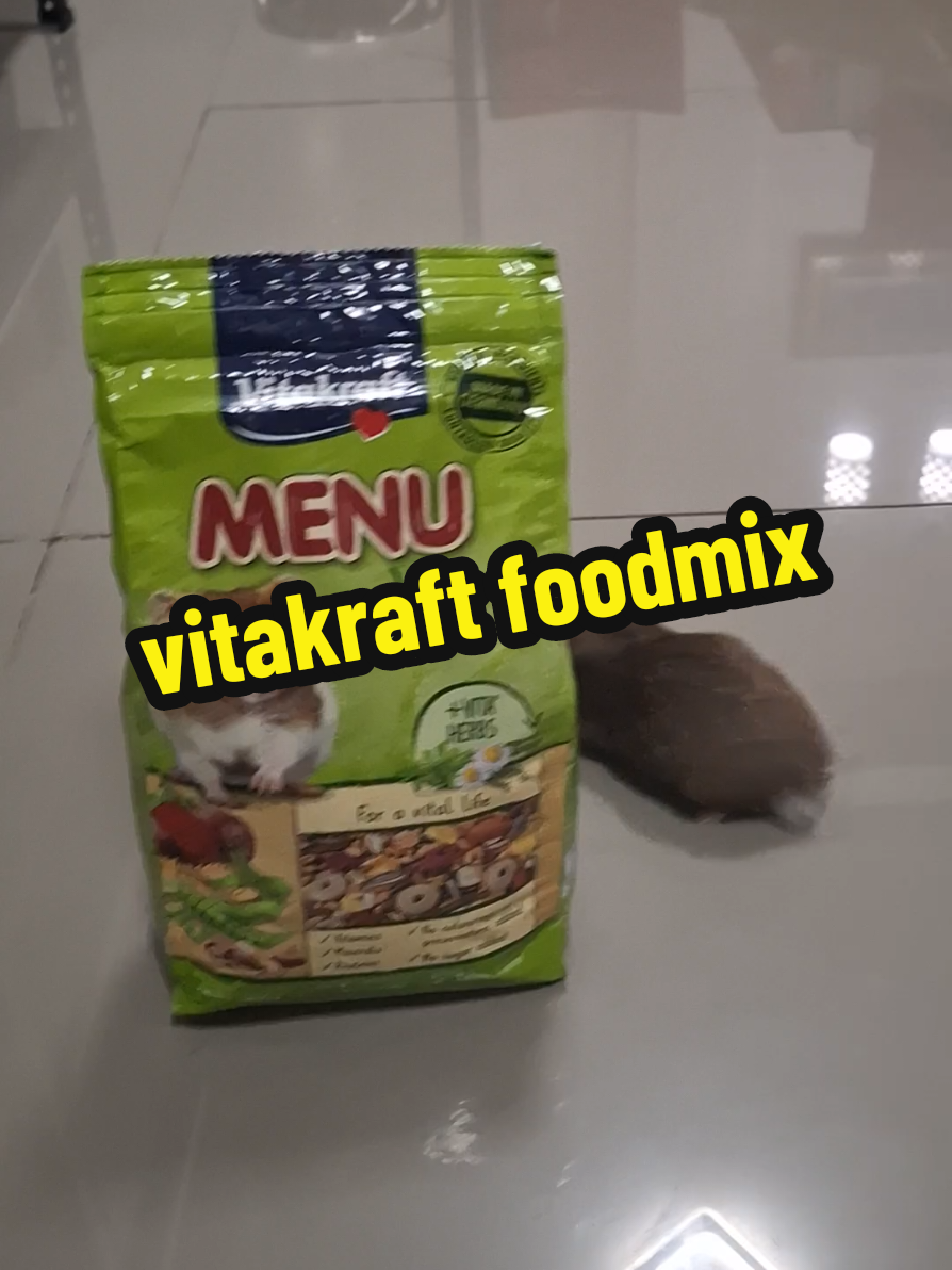 Replying to @azzyllaenaj3 vitakraft foodmix good for hamsters #hamsters #hamstersoftiktok #hamstertipsforbeginners #hamsterfood 