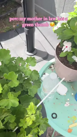 💚👍