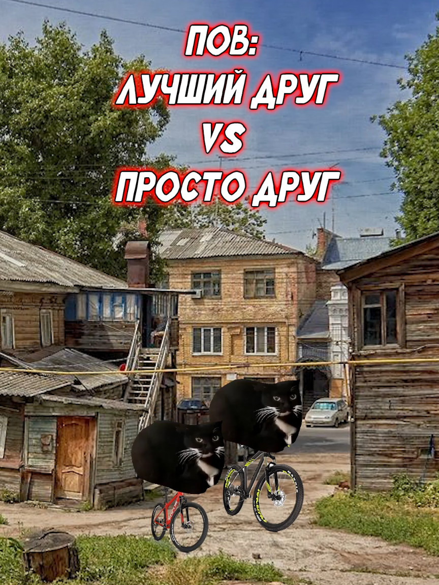 А у вас был такой друг? #котыприколы #пов #юмор #рил #fyp #прикол 