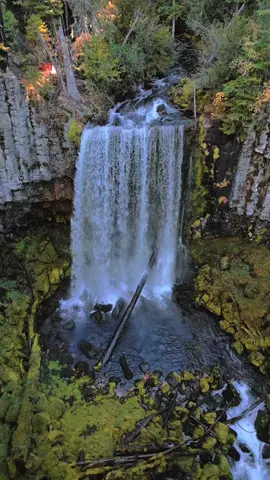 Descending slowly toward this breathtaking waterfall as it cascades over ancient basalt cliffs into a tranquil blue pool. The lush moss, layered rocks, and the sound of rushing water all come together to create a truly peaceful scene deep in the forest. Nature’s beauty never fails to amaze 😍