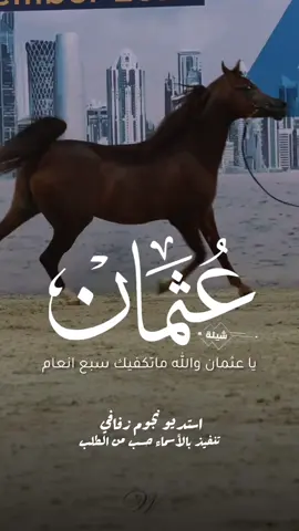 شيلة باسم عثمان 2025 شيلة مدح عثمان #استديو_نجوم_زفافي #لطلب_الشيلات_0505336824 #السعودية #الكويت #قطر  #تصميم_فيديوهات🎶🎤🎬تصميمي🔥 #تصميم_اسماء_حسب_الطلب #شيلة_باسم_عقمان #شيلة_عثمان #عثمان 