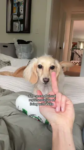she hates being flipped off 