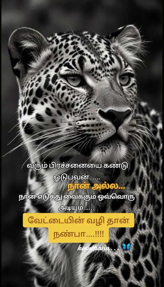 #இதயம் கூறும் கவிதை #கவிதைகள் #கவிதை #trending #tiktokviral #CapCut #Love #tamilsong #தமிழ்டிக்டாக் #தமிழ் #song #sadsongtamillove #tiktok #flowers #new #Tamil #kavithai #music #flowers #foryoupage❤️❤️ #foryoupage #tamiltiktok #tamilkavithai #lovefailure #tamilquotes #தமிழ்கவிதைகள் #tiktokindia #tiktokindia #trend #டிக்_டாக் #tamilsong #tamilstatus #தமிழ்கவிதைகள் #tutorial #tiktokviral #tiktoknews #tamilmuser #fy #songs #tamilsongs #tamilsongsstatus #காதல்_வலி #காதல்கவிதைகள் #tamilsongsstatus #fy #fyppppppppppppppppppppppp #fypviraltiktok🖤シ゚☆♡ #fypviral#1milion #1viral #viraltiktok  #100k #100kviews #ztamil #trendingsong# #trendingsong #trend 
