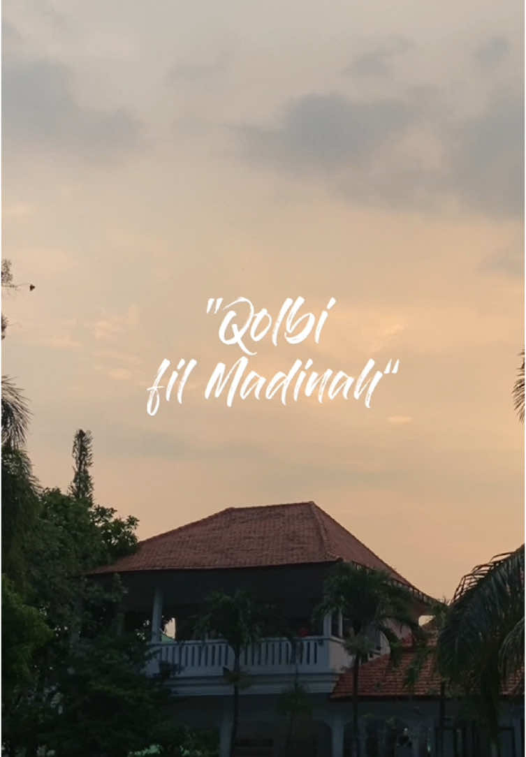 Qolbi fil Madinah ✨ | Cover by Deena Mumtazah Sihha 🎙️🎼 #ribathhidayatulquran #darululum #santri #coverlagu #arabicsong #fyp #foryou 