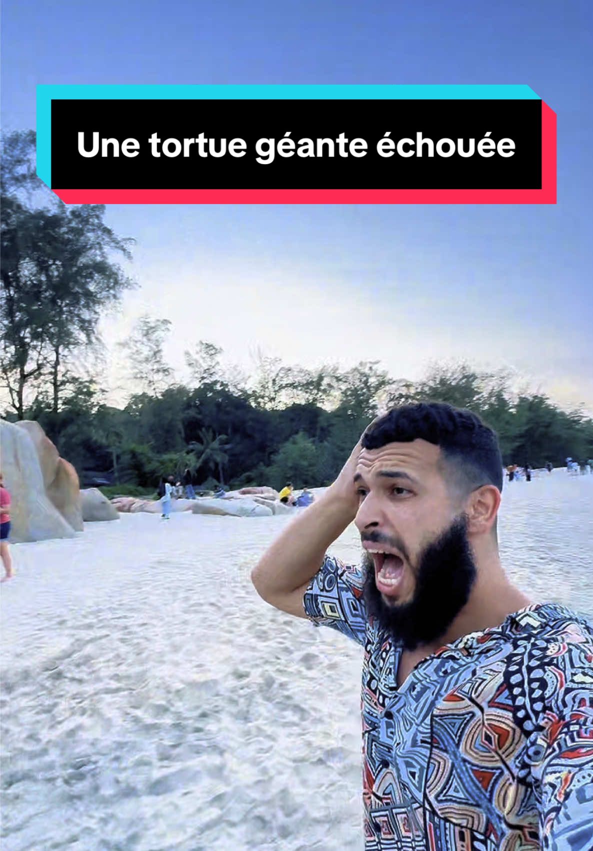 Le pouvoir des anasheed 😭 #humour #pov #meme #pourtoi #tiktokfrance #tortue  