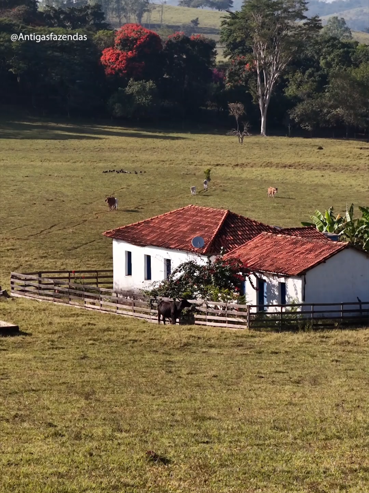 Uma linda Fazenda na região rural de Doresópolis MG  . . #Fazenda  #agro  #roça  #modao 