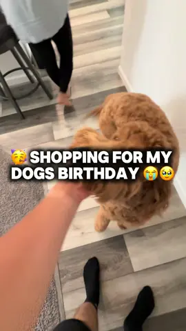 Can’t believe he’s 1 year old already 😭 #goldendoodle #birthday #puppy 