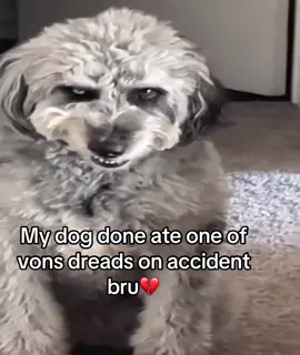 #kingvon #funnytiktok #viralvideos  