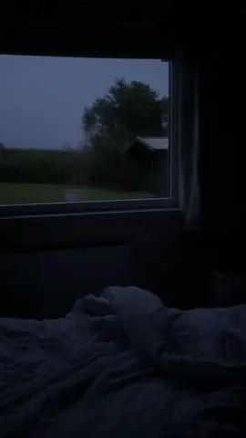 Windy nights silence #wind #rain #Scotland  #nights #windowview 