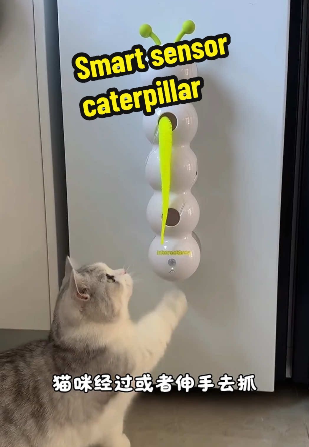 Smart sensor caterpillar#pet #petlover #catvideos #catlovers #cats #cutecat #catvideo #catlovers #funny #catlover #cattoy 