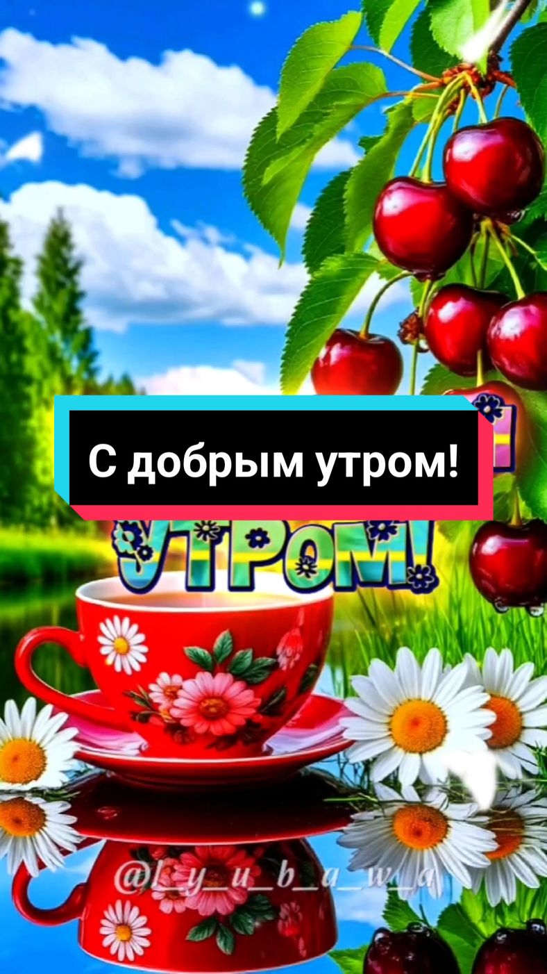 С добрым утром!🌞☕🍩Чудесного дня и отличного настроения!🤗🥰🥰🥰#сдобрымутром #доброеутро #пожелания #открытка #красивоевидео #l_y_u_b_a_w_a #2025 #лучшее #свежее #новинки #вреки #врекомендации #втоп 