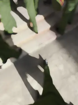 Bỏ áo quê khoác màu áo lính..! Bỏ bút giấy ta cầm súng trong tay..🥰🔥👮‍♂️ #cand #cscd #vietnam #cscd_pk02 #xh #viral #trieuview 