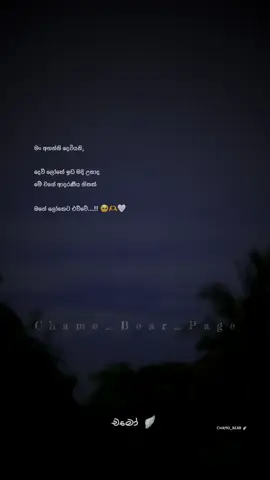 🥺🤍 #chamo_bear #tiktok #trending #viral #foryou #foryoupage #fyp #3milionaudition #sinhalaquotes #whatsappstatus #status #srilanka 