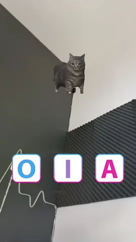 i can do is