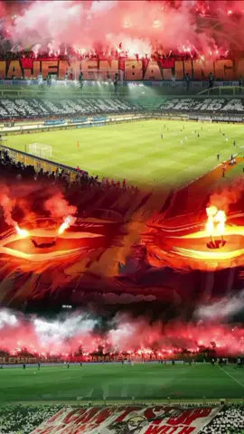 no name change pss selamanya 🦅💚 #pss #oramuntir #brigatacurvasud #bcsxpsssleman #capcut #liga2 #psssleman 
