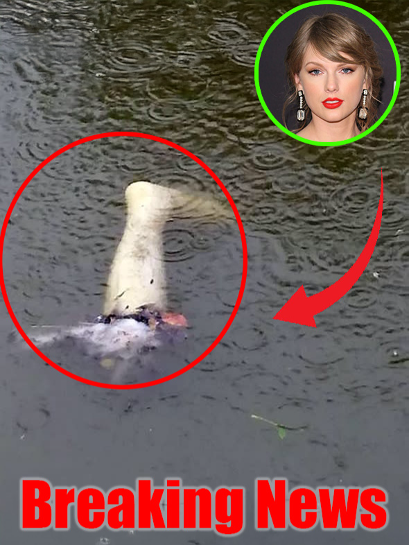 Breaking News 😮 A Human Leg Found in Taylor Swift's Mansion! . . . . . . . . . . . . #celebrity #taylorswifttok #taylorswiftedit #celebritynews #hollywood #clebnews #fyp #tik_tok #viral_video #ustiktok #news #breakingnews