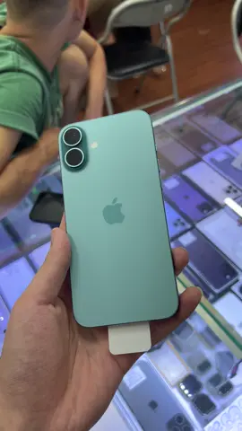 Xanh Mòng Két trên #iPhone 16Plus có lẽ là màu đẹp nhất trên dòng Plus các bạn nhỉ ? #LearnOnTikTok #trending #fyp #foryou #viral #tpshopbienhoa #tiktok #xuhuong .