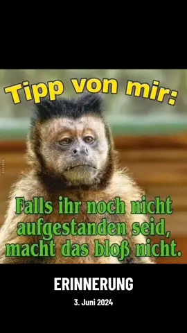 #erinnerung  #f #fy #fu #fyp #fup #viraltiktok  #fypage #fupage #foru #fypシ #fypシ゚ #viral #andalusiersiggi #4u #4you #4upage #4yourpage  #forupage #foryou #viral #alle  