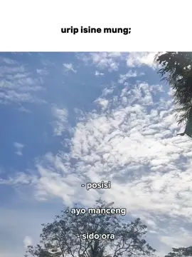 isine mung manceng #masukberanda  #lewatberanda  #mancing  #mancingikan  #mancingliar  #mancingmania  #mancingmaniamantap  #viralvideo  #tiktok #boncos  #fouryourpage  #bestvideo  #fypchallange  #CapCut  #fyp  #fypp  #fyppppppppppppppppppppppp  #bismillahfyp 