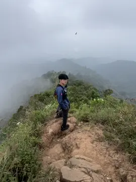 mungkinkah ini …