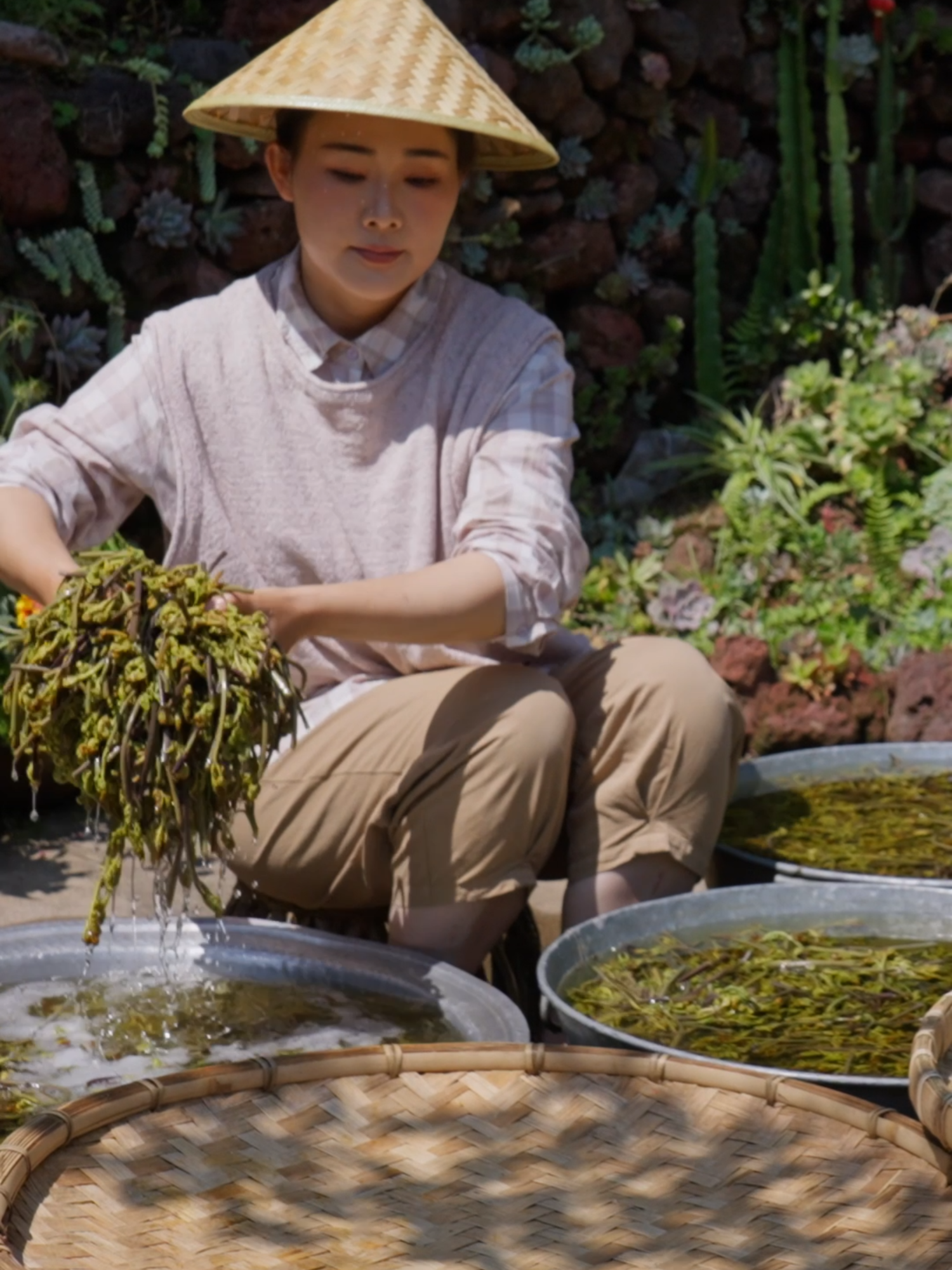 What kind of delicious surprises await when humble mountain-grown fiddlehead ferns make their way to the dining table? Welcome to this week’s new video—let’s discover the unique taste of fiddlehead ferns together! 把长在山地上不起眼的蕨菜搬上餐桌会出现什么美味的碰撞呢，欢迎收看本周的新视频，一起感受蕨菜的美味吧！ #fyp #cooking #fiddlehead #chinesefood #滇西小哥