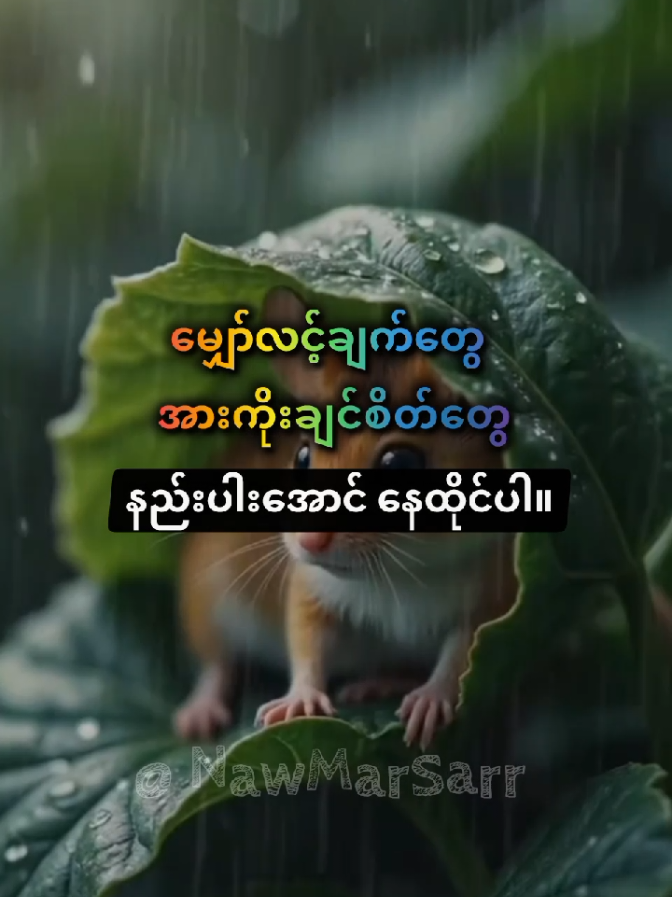 မျှော်လင့်ချက်တွေ အားကိုးချင်စိတ်တွေ နည်းပါးအောင် နေထိုင်ပါ။🍂 #motivation #fyp #foryou #literatureforlife #knowledge 