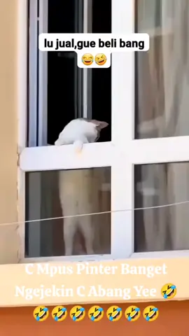 Duo Mpus Yg Pintar Joget 🤣🤣🤣 #video #kucinglucu 