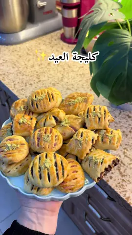 مكونات الكليجة كيلو طحين  هيل ملعقة بيكم باودر ١ فانيلا ١ خميرة ملعقة صغيرة حليب باودر ٢ ملاعق سكر ٢ ملاعق ملح رشة زبد حيواني كوبين وربع روبة ٣ ملاعق حليب سائل كوب وعلينة وعليكم بالف عافية #كليجة #كليجه_العيد #كليجه #كليجة_عراقية #اكسبلور #اكسبلورexplore 