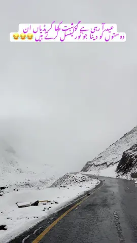 Babusar top 📍 For booking &more Details contact me watsap  03088481339 #foryoupage #offtoskytop #mountainslover #viralvideos #sakrdu #daily 