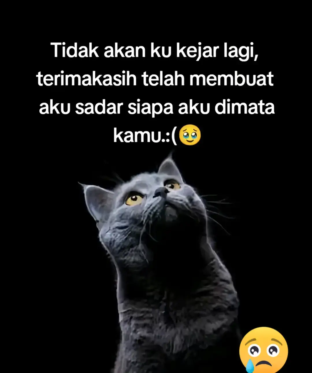 🥺🥺