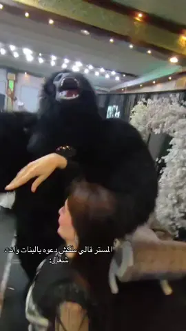 #هارلي يسطا🦍🖤