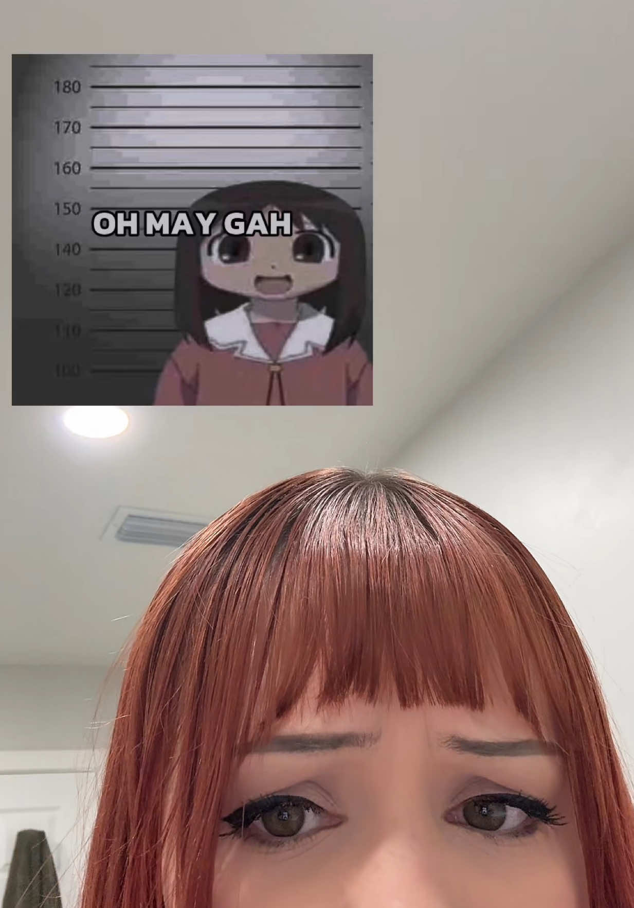 oh may gah  #anime #animememe #voiceover #animevoice #voicework #voiceactor #hedgehoghoes #hedgie #hedgehoghoe 