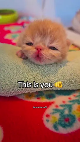 You 🫵 #couldbeus #wholesomememes 