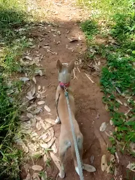 baru belajar