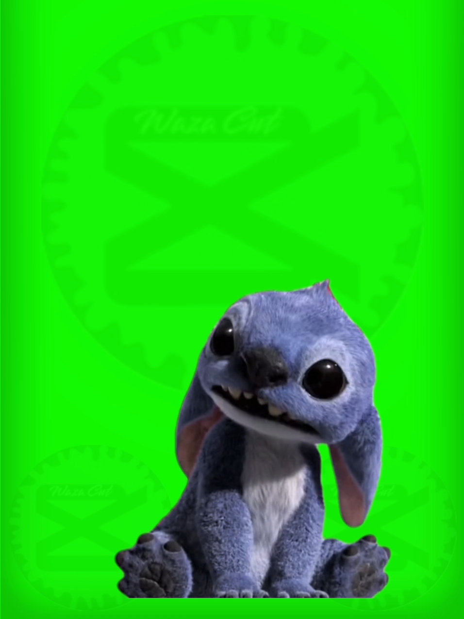 🔰PLANTILLA🔰
 🌟Stitch🌟
 #Meme #pantallaverde #greenscreen #sticker  #wazacut #stitch #disney #lilo 